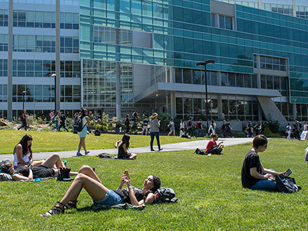 Students in the Quad in front of the library
