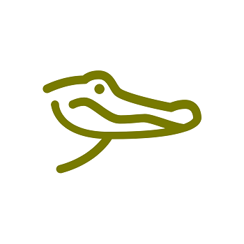 green alligator icon