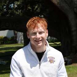 Peer Director; Mark