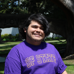 Orientation Leader; Phoenix