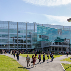 SFSU Library
