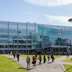 SFSU Library 